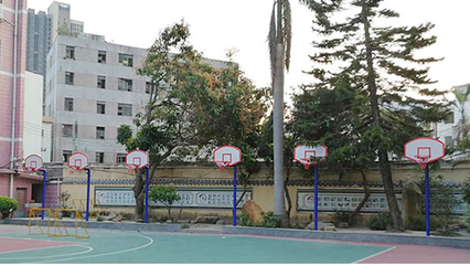 佛山順德區鳳翔小學兒童升降式籃球架拆換品質保障